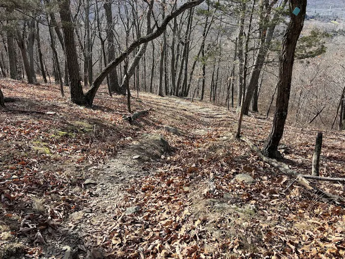 Goosepond Mountain State Park Picture 8