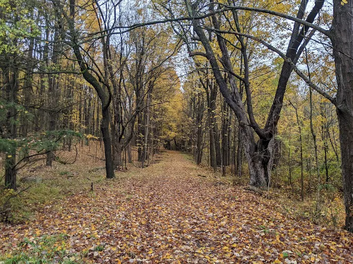 Goosepond Mountain State Park Picture 4