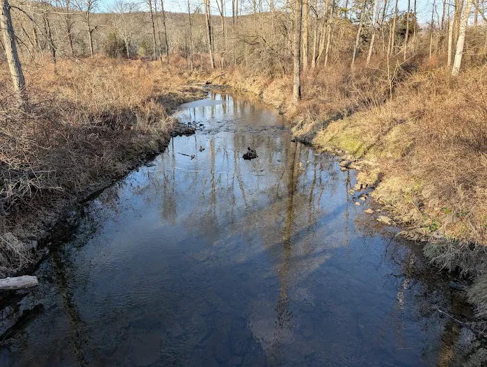 Goosepond Mountain State Park Picture 6