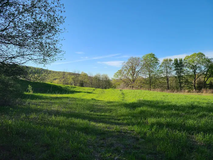 Goosepond Mountain State Park Picture 7