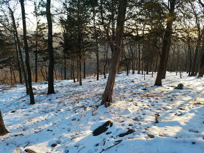 Goosepond Mountain State Park Picture 9