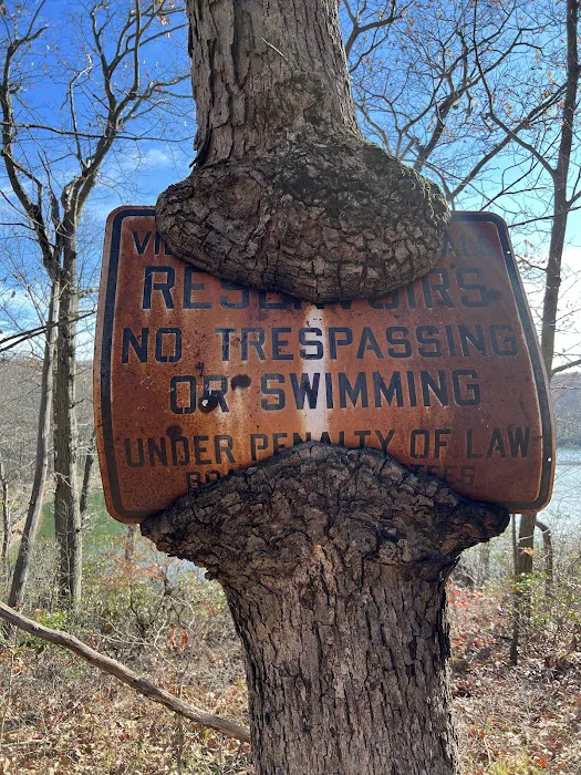 Black Rock Forest - Mine Hill Road Trailhead Picture 6