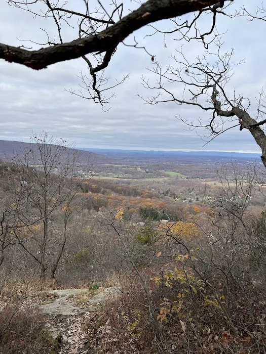 Black Rock Forest - Mine Hill Road Trailhead Picture 8