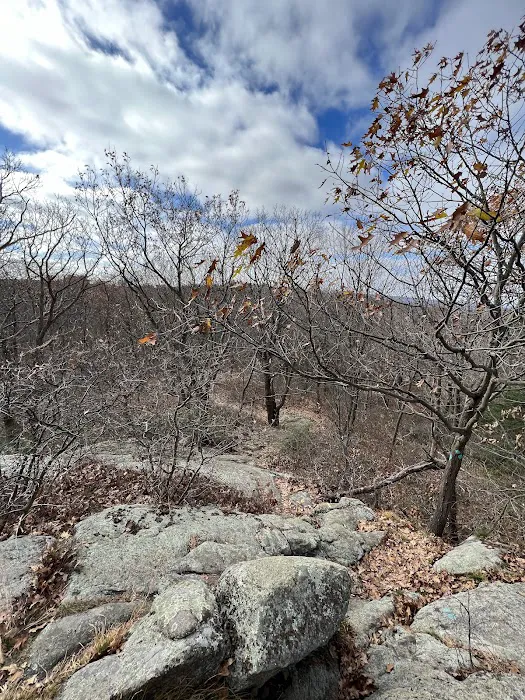 Black Rock Forest - Mine Hill Road Trailhead Picture 5