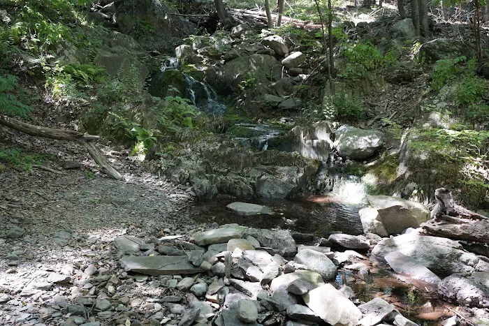 Schunnemunk Mountain Trail Head Picture 10