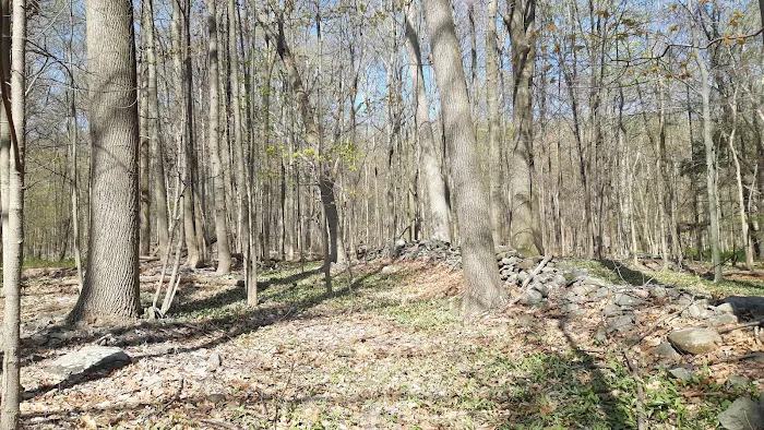 Schunnemunk State Park Picture 8