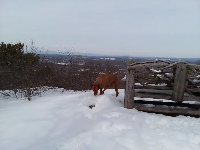 Sharon's Bench Picture 8