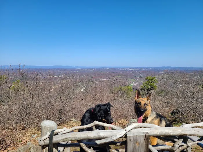Sharon's Bench Picture 5