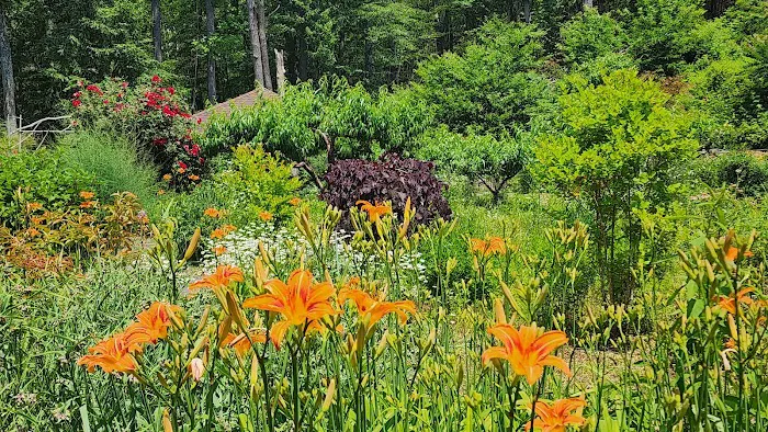 Mountain Lodge Park Picture 7