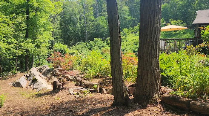 Mountain Lodge Park Picture 9