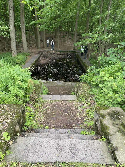 Cornish Estate Trail Picture 7