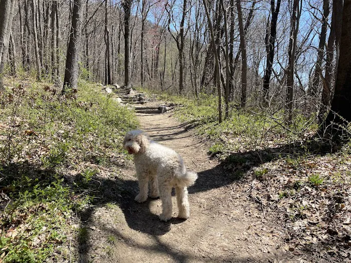 Breakneck Ridge Trailhead Picture 9