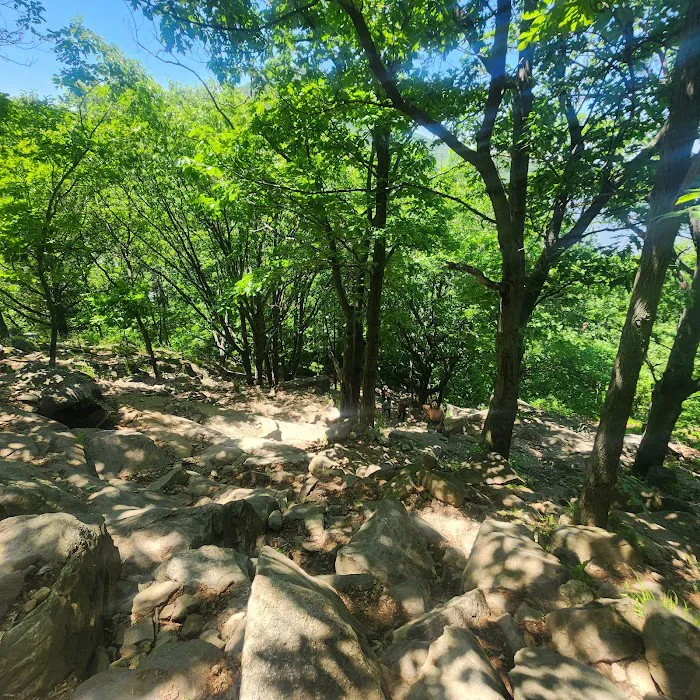 Breakneck Ridge Trailhead Picture 2
