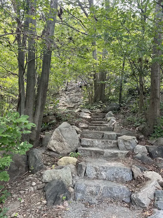 Breakneck Ridge Trailhead Picture 7