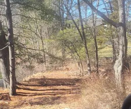 Open Space