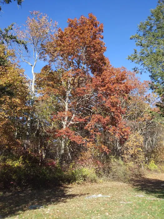 Paine Open Space Picture 5
