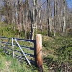 Paine Barn Trailhead