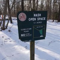 Nash Trail head ico