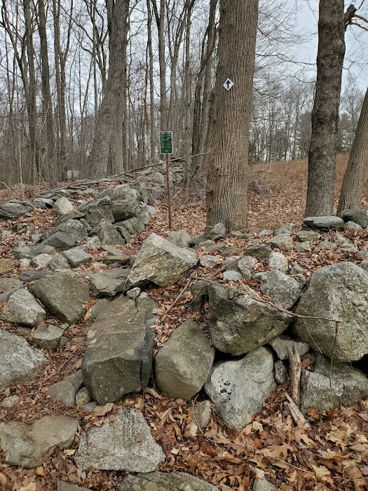 Poindexter Nature Preserve Picture 10