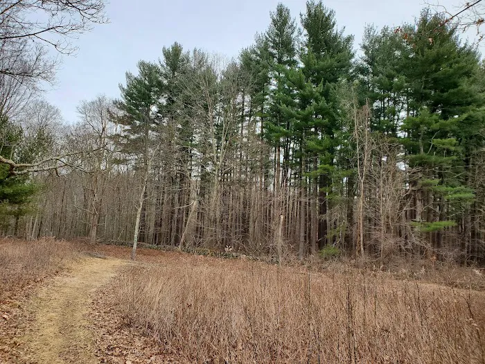 Poindexter Nature Preserve Picture 1