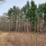 Poindexter Nature Preserve