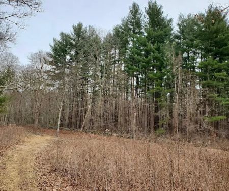 Poindexter Nature Preserve