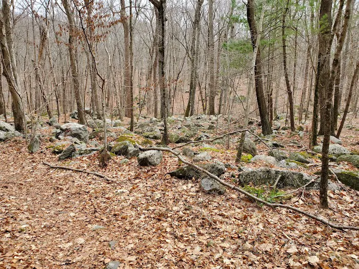 Poindexter Nature Preserve Picture 5