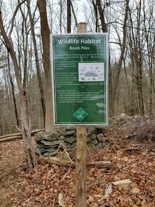 Poindexter Nature Preserve Picture 9
