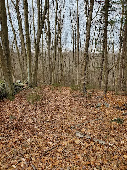 Poindexter Nature Preserve Picture 2