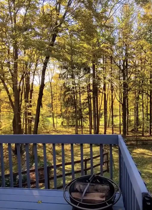 Enchanted Cottage in the Woods Picture 5