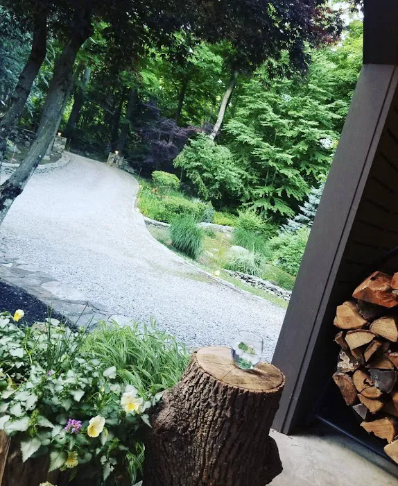 Enchanted Cottage in the Woods Picture 1