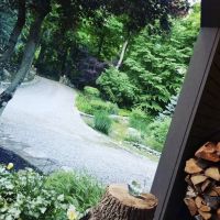 Enchanted Cottage in the Woods ico