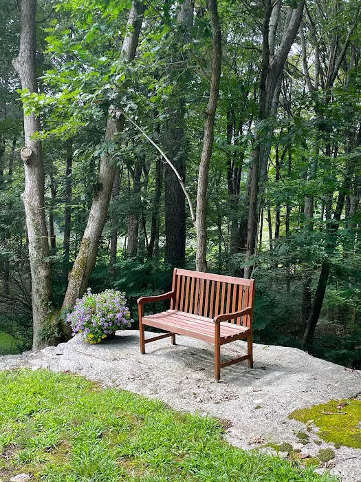 Enchanted Cottage in the Woods Picture 6