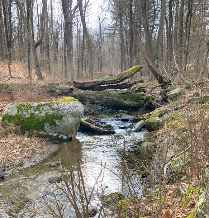 Wolfpit's Nature Preserve Picture 10