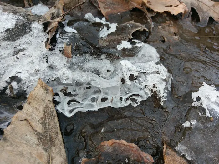 Wolfpit's Nature Preserve Picture 1