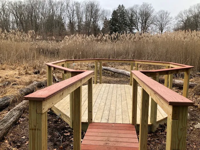Wolfpit's Nature Preserve Picture 3