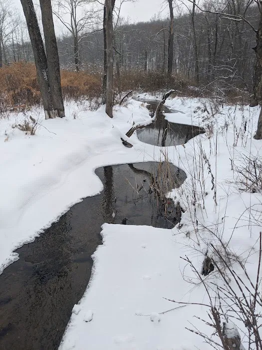 Wolfpit's Nature Preserve Picture 8