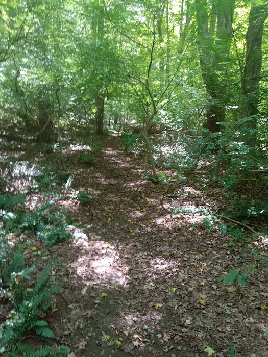 Wolfpit's Nature Preserve Picture 4