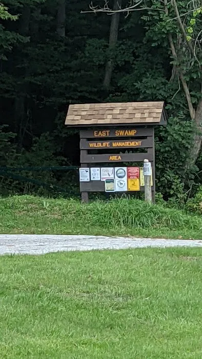 East Swamp Wildlife Management Area Picture 9