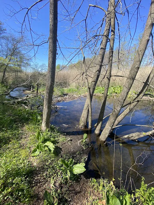 East Swamp Wildlife Management Area Picture 8