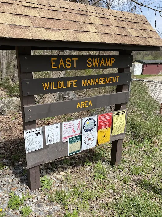 East Swamp Wildlife Management Area Picture 2