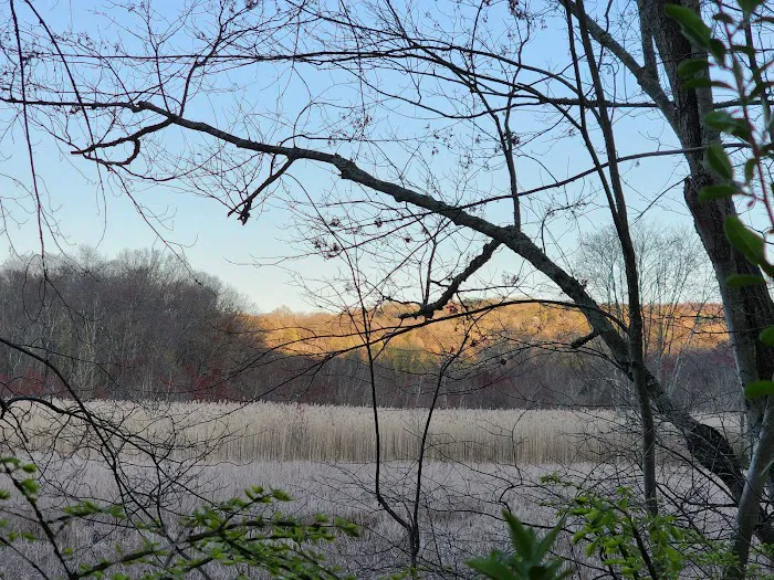 East Swamp Wildlife Management Area Picture 6
