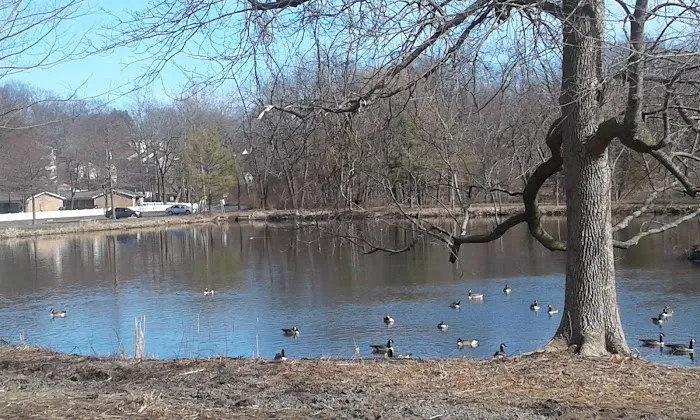 Rogers Park Picture 9
