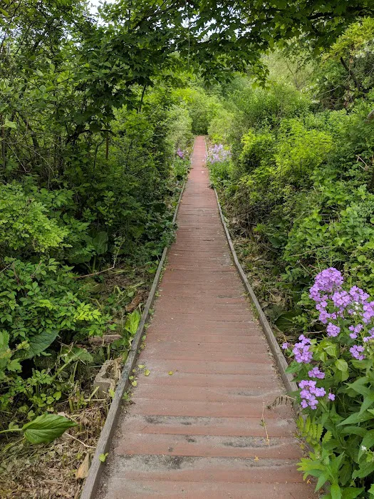 Enchanted Boardwalk Picture 7