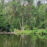 Bennett Memorial Park