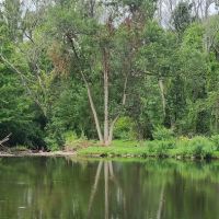 Bennett Memorial Park ico