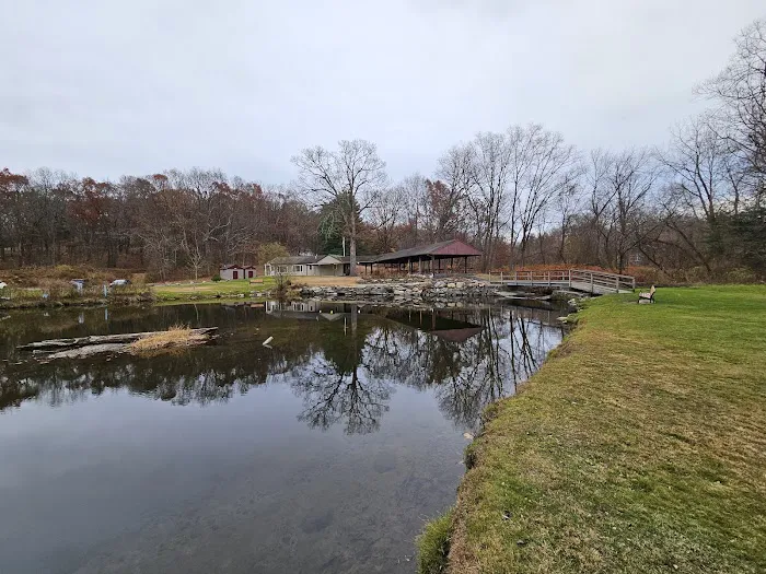 Meckauer Park Picture 5