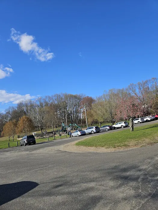 Meckauer Park Picture 1