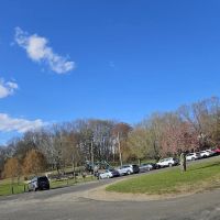 Meckauer Park ico