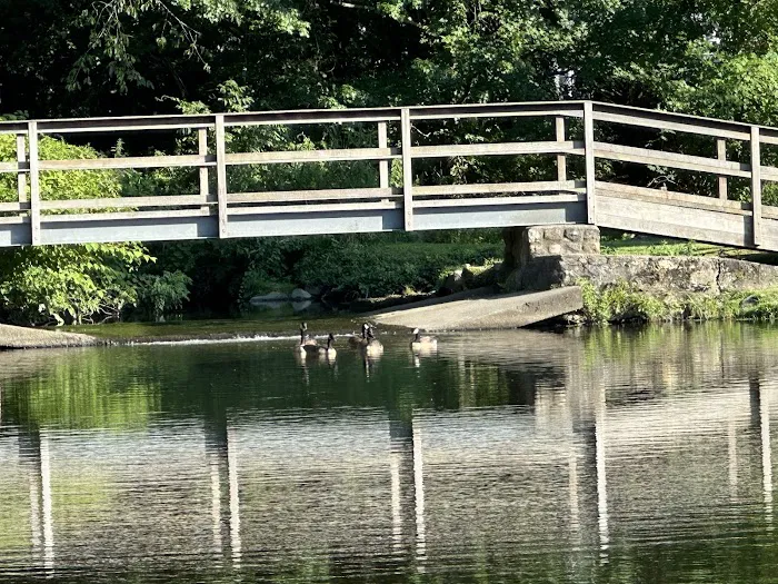 Meckauer Park Picture 4